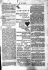 Y Tyst Friday 03 November 1893 Page 13