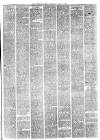 Newcastle Guardian and Silverdale, Chesterton and Audley Chronicle Saturday 19 April 1884 Page 3