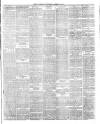 Newcastle Guardian and Silverdale, Chesterton and Audley Chronicle Saturday 09 March 1889 Page 3