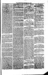 South Wales Daily Telegram Thursday 02 February 1871 Page 3