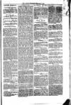 South Wales Daily Telegram Saturday 04 February 1871 Page 3