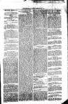 South Wales Daily Telegram Wednesday 08 February 1871 Page 3