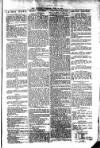 South Wales Daily Telegram Friday 16 June 1871 Page 3