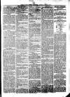 South Wales Daily Telegram Tuesday 15 July 1873 Page 3