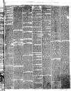 South Wales Daily Telegram Friday 08 May 1874 Page 3