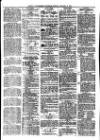 South Wales Daily Telegram Monday 18 January 1875 Page 4