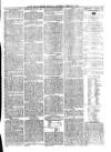 South Wales Daily Telegram Wednesday 17 February 1875 Page 3