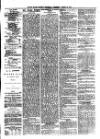 South Wales Daily Telegram Thursday 25 March 1875 Page 3