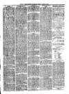 South Wales Daily Telegram Tuesday 20 April 1875 Page 3