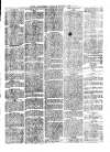 South Wales Daily Telegram Wednesday 21 April 1875 Page 3