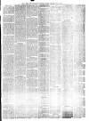 South Wales Daily Telegram Friday 14 May 1875 Page 3
