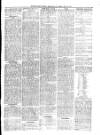 South Wales Daily Telegram Saturday 22 May 1875 Page 3