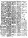 South Wales Daily Telegram Wednesday 26 May 1875 Page 3