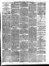 South Wales Daily Telegram Tuesday 08 June 1875 Page 3