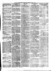 South Wales Daily Telegram Tuesday 15 June 1875 Page 3