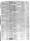 South Wales Daily Telegram Friday 18 June 1875 Page 3