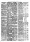 South Wales Daily Telegram Saturday 26 June 1875 Page 3