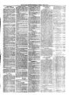 South Wales Daily Telegram Tuesday 29 June 1875 Page 3