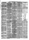 South Wales Daily Telegram Saturday 10 July 1875 Page 3