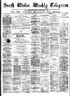 South Wales Daily Telegram Friday 16 July 1875 Page 1