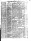 South Wales Daily Telegram Thursday 02 December 1875 Page 3
