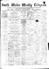 South Wales Daily Telegram Friday 10 March 1876 Page 1