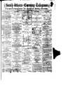 South Wales Daily Telegram Wednesday 15 March 1876 Page 1