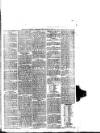 South Wales Daily Telegram Monday 20 March 1876 Page 3