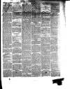 South Wales Daily Telegram Saturday 06 January 1877 Page 3