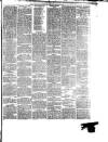 South Wales Daily Telegram Thursday 01 February 1877 Page 3