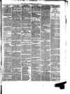 South Wales Daily Telegram Monday 30 April 1877 Page 3