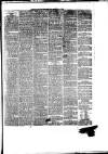 South Wales Daily Telegram Wednesday 23 May 1877 Page 3