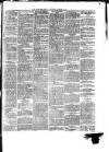 South Wales Daily Telegram Tuesday 13 November 1877 Page 3