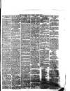South Wales Daily Telegram Wednesday 20 February 1878 Page 3