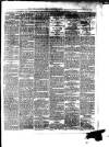 South Wales Daily Telegram Wednesday 27 March 1878 Page 3