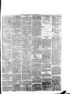 South Wales Daily Telegram Thursday 02 May 1878 Page 3