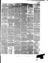 South Wales Daily Telegram Monday 06 May 1878 Page 3