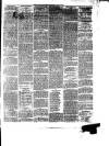 South Wales Daily Telegram Tuesday 07 May 1878 Page 3