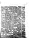 South Wales Daily Telegram Saturday 25 May 1878 Page 3
