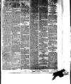 South Wales Daily Telegram Monday 03 June 1878 Page 3