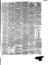 South Wales Daily Telegram Thursday 10 October 1878 Page 3