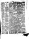 South Wales Daily Telegram Saturday 09 November 1878 Page 3