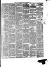 South Wales Daily Telegram Wednesday 04 December 1878 Page 3