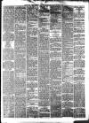 South Wales Daily Telegram Friday 06 December 1878 Page 5