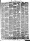 South Wales Daily Telegram Friday 06 December 1878 Page 7