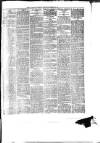 South Wales Daily Telegram Wednesday 18 December 1878 Page 3