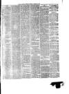 South Wales Daily Telegram Thursday 19 December 1878 Page 3