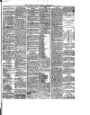 South Wales Daily Telegram Saturday 03 January 1880 Page 3