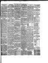South Wales Daily Telegram Saturday 05 June 1880 Page 3
