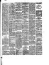 South Wales Daily Telegram Saturday 03 July 1880 Page 3